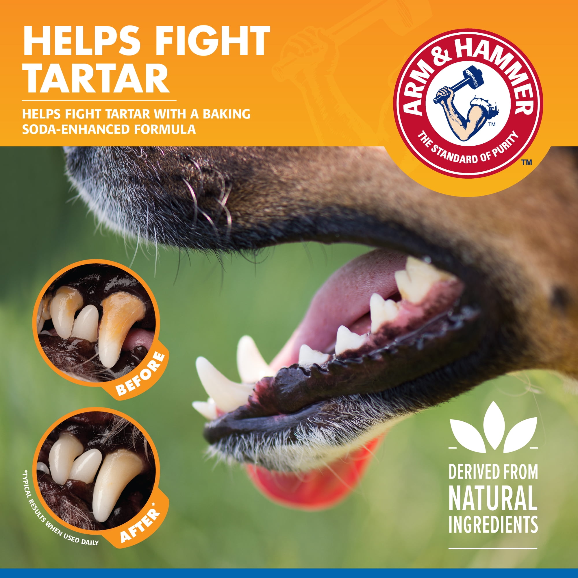 Arm & Hammer Dental Rinse Cleaning Water Additive for Dogs 16 oz