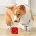 thumbnail image 4 of TIELUTT Durable Dog Chew Toys Interactive Dispenser Flower Shape Pet Teething Toy for Puppies Small Medium Outdoor Dog for Dogs Dog Rope Dog Large Breed Aggressive Chewers Trusty Pup Silent Squeak, 4 of 6