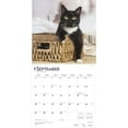 thumbnail image 4 of Tuxedo Cats | 2026 12x24" (Hanging) Wall Calendar | Plastic-Free | BrownTrout, 4 of 9