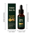 thumbnail image 3 of Ginger Nail Oil - For Hands And Feet Care Repairs Damaged Nails Strengthens And Protects 30ml, 3 of 7