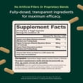 thumbnail image 3 of The Genius Brand Genius Mushrooms - Plant-Based Supplement for Immune, Focus & Energy Support - Lion's Mane, Cordyceps & Reishi - Organic & Non-GMO - 90 Veggie Capsules, 3 of 9