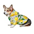 thumbnail image 7 of Haiem Lemon1 for Winter Dog Hoodie Sweatshirts with Pockets Warm Dog Clothes for Small Dogs Chihuahua-Large, 7 of 7