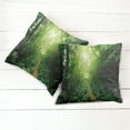 thumbnail image 6 of Ambesonne Green Throw Pillow Cover 2 Pack, Way in Jungle of Malaysia, 16", Green, 6 of 7