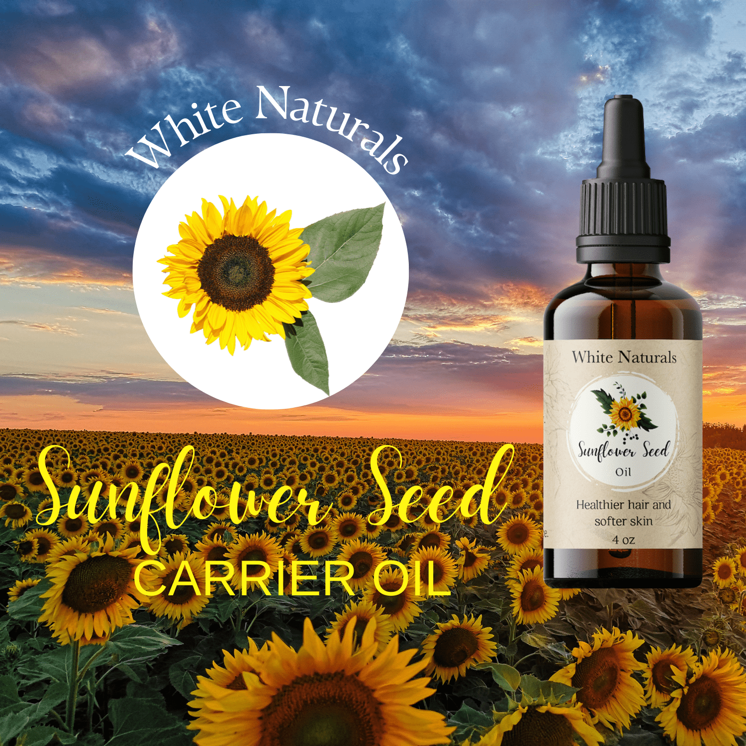 Sunflower Seed Oil, Pure and Natural, Cold-Pressed, for Skin Care, Massage,  Hair Care, and to Dilute Essential Oils by White Naturals 4 oz