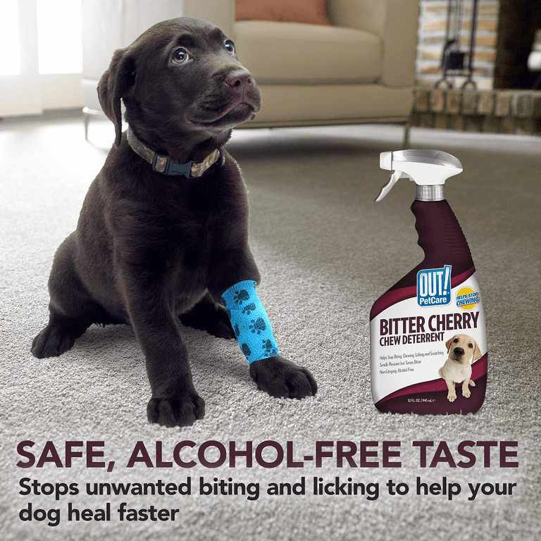 Best puppy chewing deterrent top