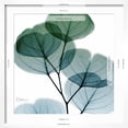 thumbnail image 5 of Art.com Dull Eucalyptus Mate Art Print by Albert Koetsier, White Frame Wall Art, 21" x 21", 5 of 5
