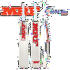 MRF Genius Grand Edition Cricket Bat 2021-22