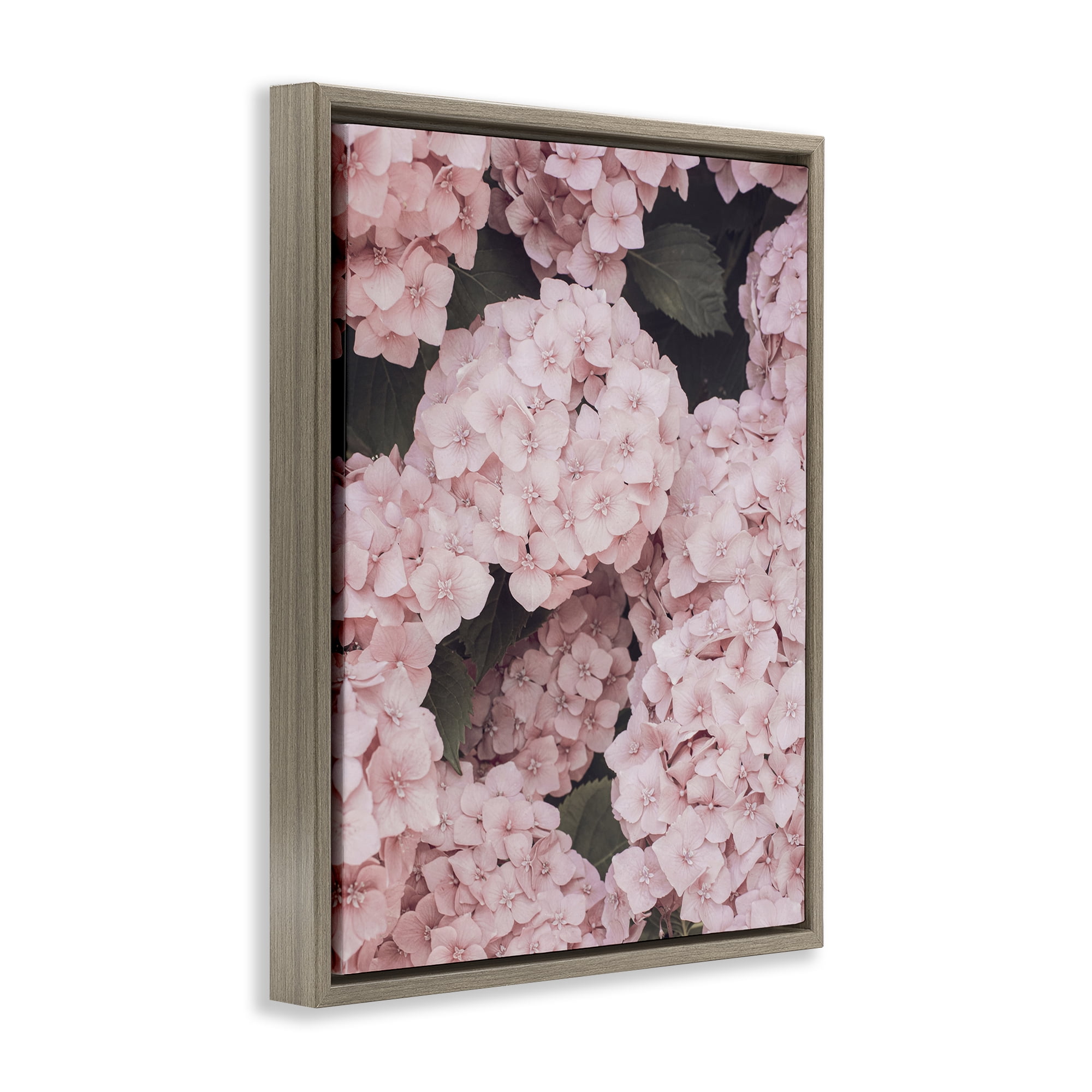 Stupell Industries Pink Hydrangea Blossoms Plants & Flowers Photography Brown Floater Framed Canvas Art Print Wall Art, 17 x 21
