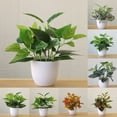 thumbnail image 3 of Artificial Plants Bonsai Flower Foliage Plant Simulation Pot Plants Office Decor, 3 of 4