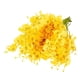 thumbnail image 1 of Advancent 12 piezas de seda de amplia aplicación exquisita hecha a mano para madres y amantes apariencia realista bajo mantenimiento mascotas Decoración Verde amarillo, 1 of 6