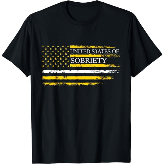 United States Of Sobriety Flag AA Recovery GiftsCostume Men T-Shirt