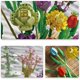 thumbnail image 3 of Bloque de construcción de ramo de flores - 999 piezas Compatible con Lego 10280 Expert Flower Bouquet (Color 2), 3 of 5