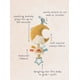thumbnail image 5 of Itzy Ritzy – Musical Pull-Down Toy - Bitzy Notes Baby Musical Toy Attaches to Car Seat, Play Gym, or Stroller & Plays a Soothing Melody, Infant Toy for Ages 0 Months and Up (Moon), 5 of 5