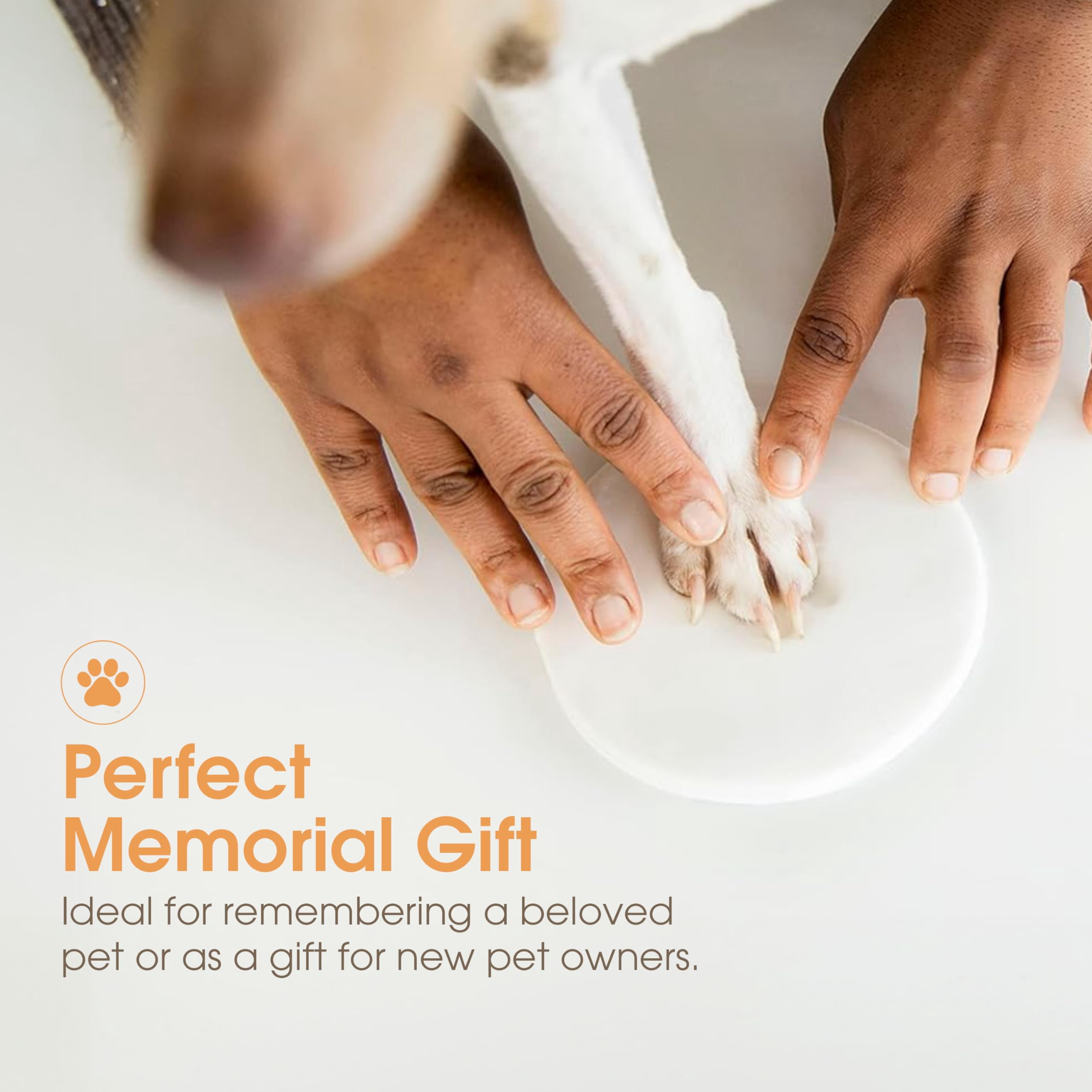 PETT Pet paw print frame with clay print kit and photo display