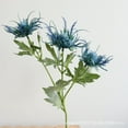 thumbnail image 3 of 1PC Silk Artificial Thistle Flowers Eryngiums,Faux Eryngium Plants Sea Holly Long Stem Bouquet for Wedding, Table Centerpiece & Home Decor,Orange, 3 of 8
