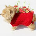 thumbnail image 5 of Monfince Small Dog Sweaters Knitted Pet Cat Sweater Warm Dog Sweatshirt Dog Winter Clothes Kitten Puppy Sweater White L-4XL, 5 of 7