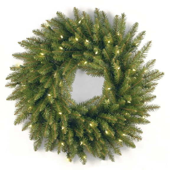 Pre-Lit Dunhill Fir Artificial Christmas Wreath - 24-Inch, Clear Lights