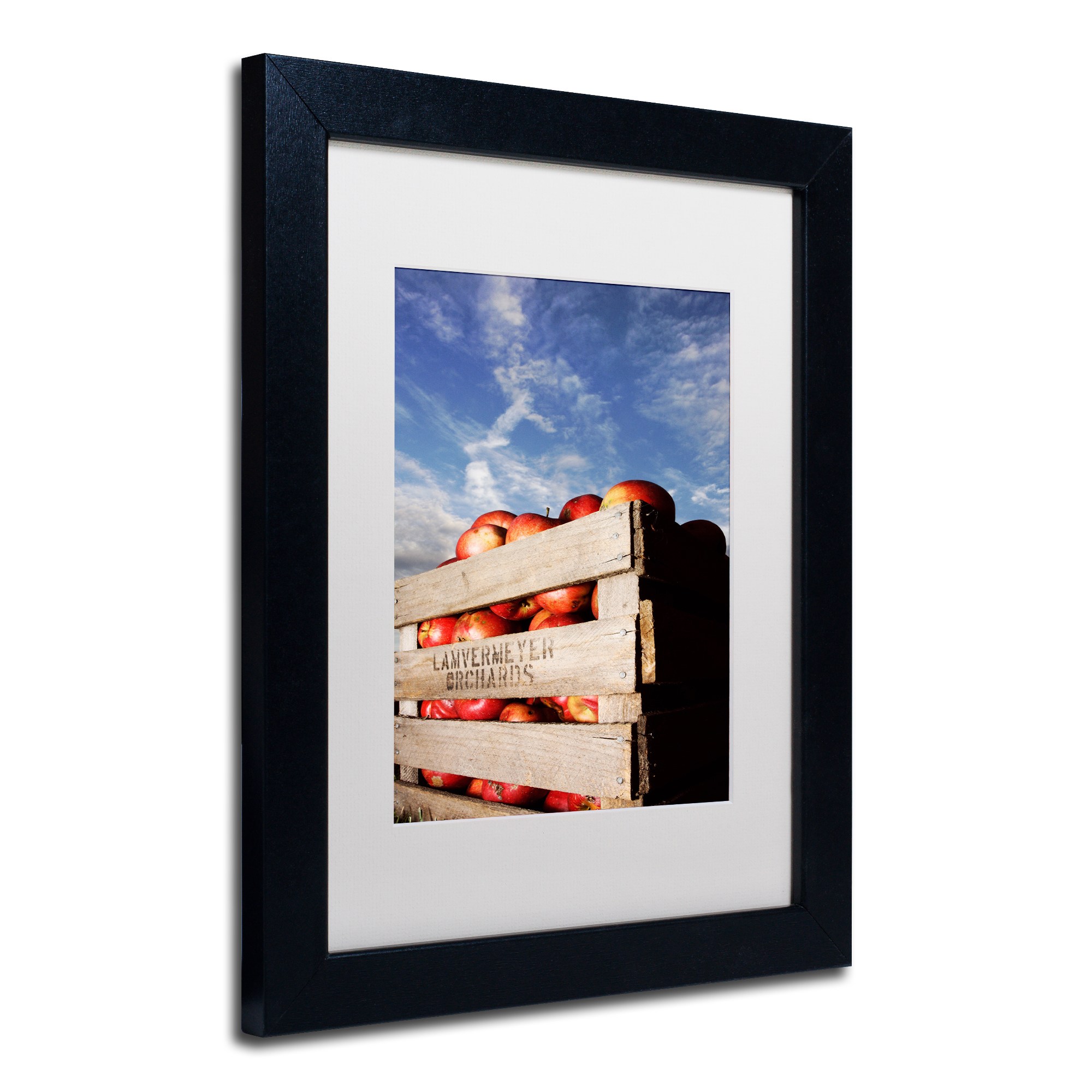 Trademark Fine Art "Orchard" Canvas Art by Jason Shaffer, White Matte, Black Frame