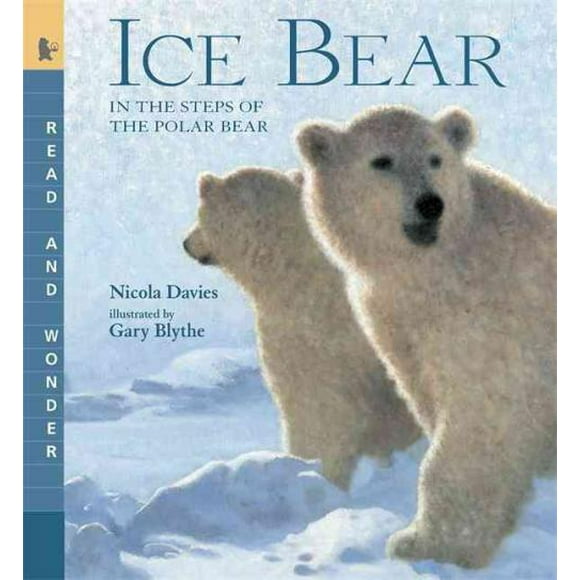 Ours de Glace, Nicola Davies Broché