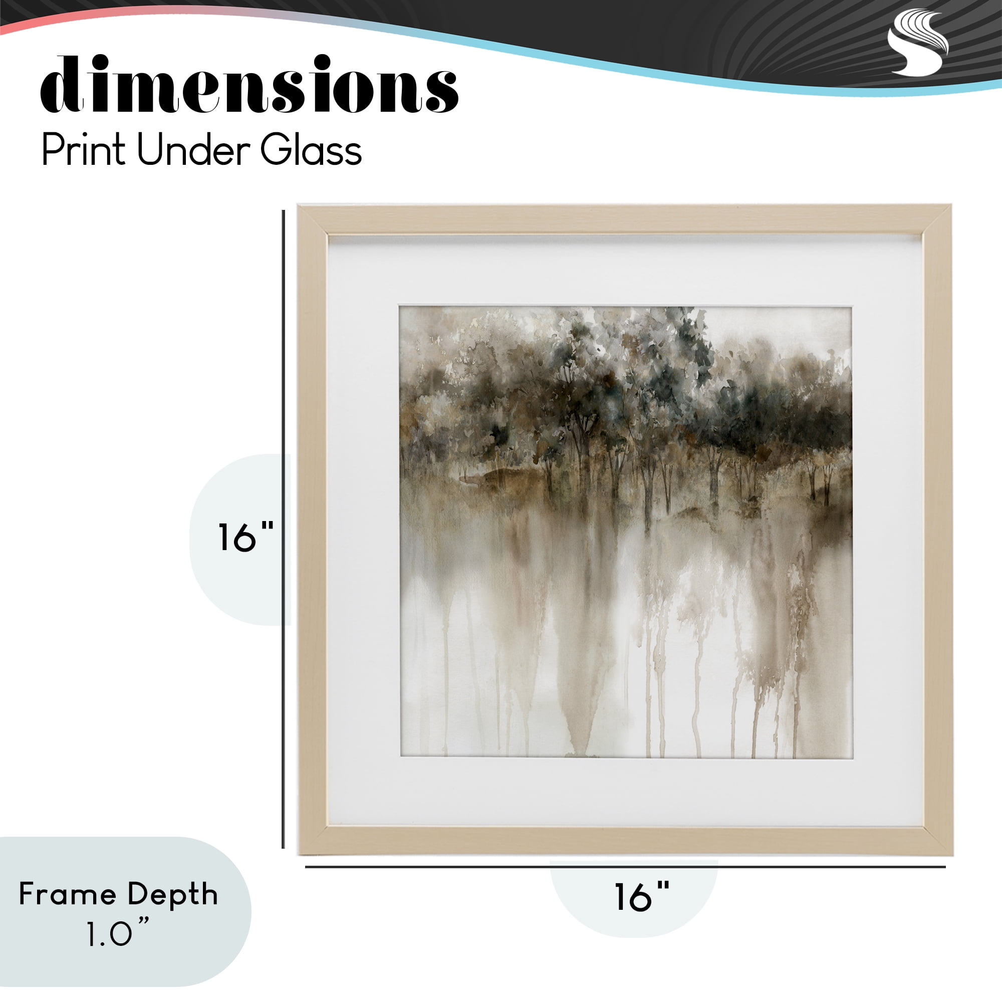 Stupell Industries Forest Edge Illusion Birch Framed Print Under Glass, design by Carol Robinson