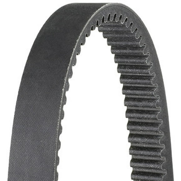 Dayco Courroie de Transmission XTX5042 Couple Extrême; Remplacement OE; 46,34 Pouces Circonférence Extérieure; Largeur Supérieure 1,48 Pouces