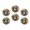 C2608, variant on Glass Refrigerator Magnet 6Pcs Magnetic Fridge Sticker,Decor for Kitchen,Whiteboard,Cabinet,Graceful Pattern Of Bird On Jasmine Flower Background