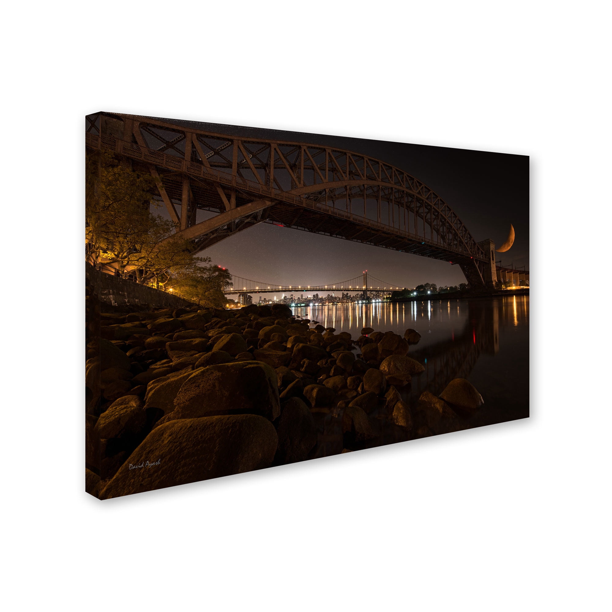 Trademark Fine Art "Hells Gate and RFK Bridge - NYC" Canvas Art by David Ayash