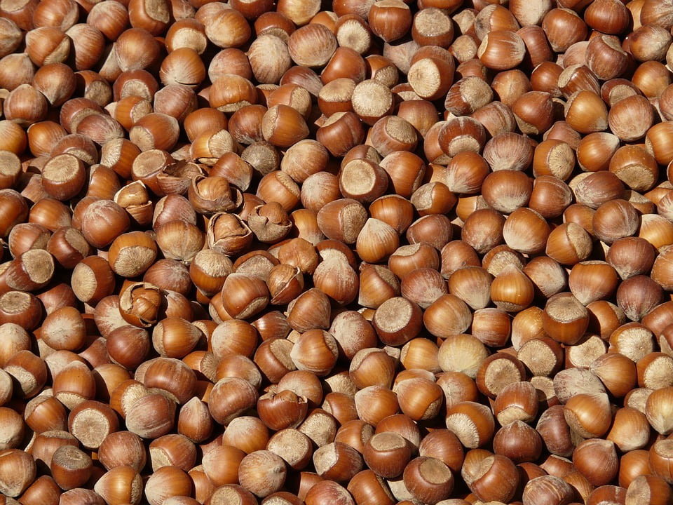 Nuts Shells Brown Market Open Hazelnuts 12 Inch By 18 Inch Laminated Poster With Bright Colors