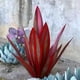 thumbnail image 4 of FLhrweasw Estatua Planta Arte Patio Hierro Decoraciones Jardín Agave Estacas para Del (rojo 27CM), 4 of 7