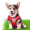 thumbnail image 4 of Correa de malla de tela transpirable para perros, arnés suave y cómodo para mascotas, chaleco para cachorros y gatos, suministros para mascotas para chihuahua, pug y bulldog, 4 of 5