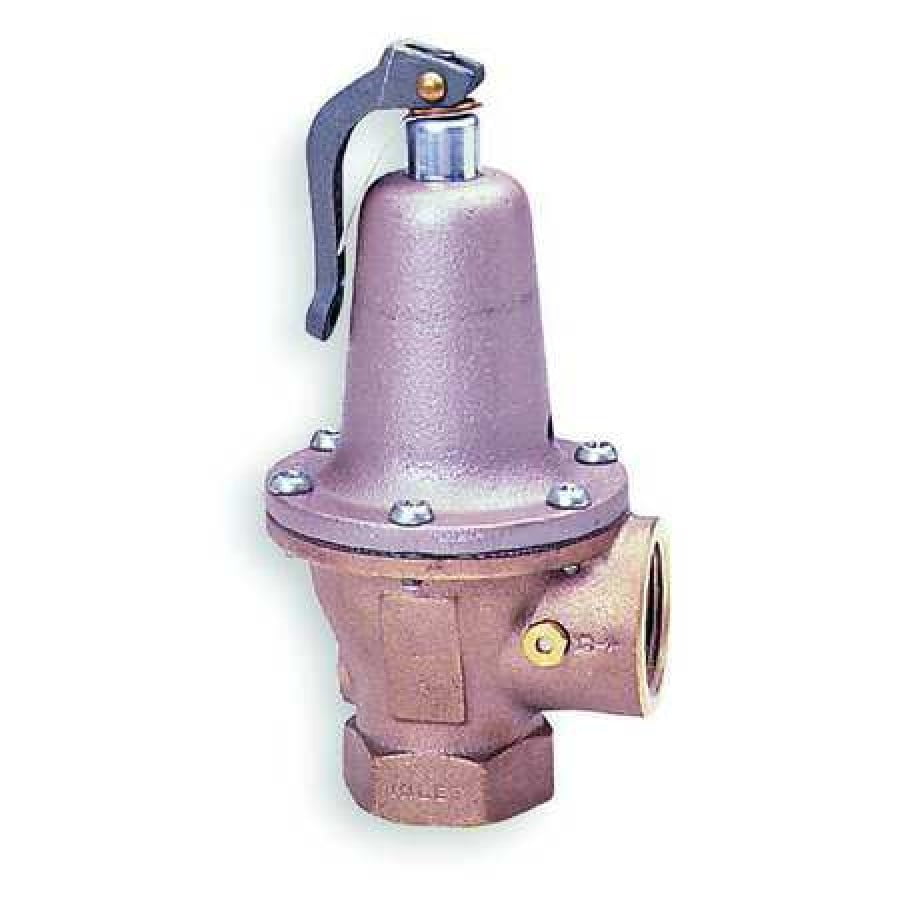 Pressure Regulator 1-1/4 in 10 to 30 psi 