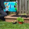 thumbnail image 3 of Miracle-Gro Sea Mix 25L, 3 of 6