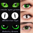 thumbnail image 4 of Bio-essence lentes de contacto para ojos de Halloween, lentes de ojo de gato, accesorios de Anime, lentes de ojo de serpiente, lentes de lagarto, 1 par, 4 of 4