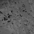 thumbnail image 5 of Paraguas voladizo Cubierta protectora Buey, 5 of 5
