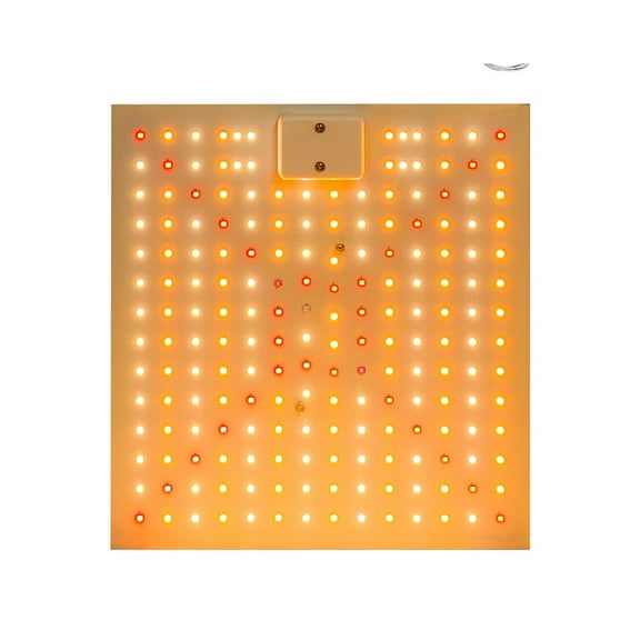 3000W Full Spectrum Led Grow Light Phyto Lamp For Plant Growth Light Hydroponics Lighting Indoor Flower Seed 2000W Board ,High Efficiency