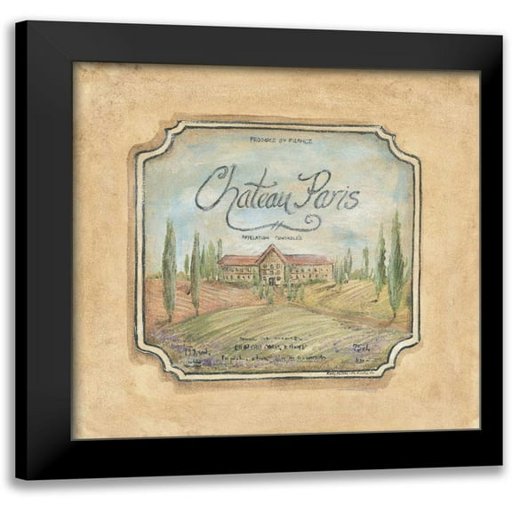 McRostie, Kate 12x12 Black Modern Framed Museum Art Print Titled - Chateau Paris