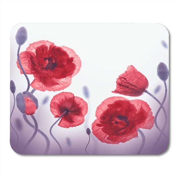 POGLIP Colorful Red Poppies Field and Blue Cornflowers Floral Green Mousepad Mouse Pad Mouse Mat 9x10 inch