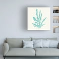 thumbnail image 3 of Wild Apple Portfolio 'Pacific Sea Mosses III Aqua' Canvas Art, 3 of 3