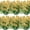 Yellow, variant on UU&T 24 Bundles Artificial Flowers, Fake Silk Flowers UV Resistant Faux Plastic Plants for Spring Summer Garden Porch Home Indoor Outdoor Decoration, Pink