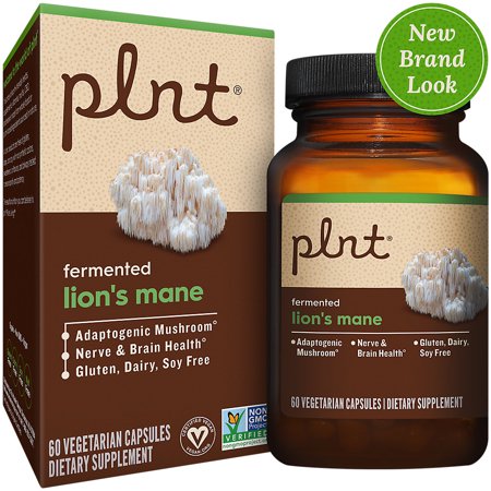Fermented Lion s Mane - Adaptogenic Mushroom for Nerve & Brain Health Support (60 Capsules)