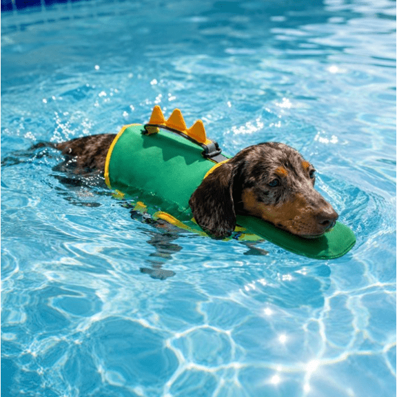 Dino Dog Life Jacket, Cute Dog Life Vest with High Buoyancy, Reflective Stripes, Adjustable Life Preserver with Rescue Handle for Small Medium Large Dogs S