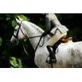 thumbnail image 2 of Hausenflock, Alan 32x23 White Modern Wood Framed Museum Art Print Titled - Dressage II, 2 of 4