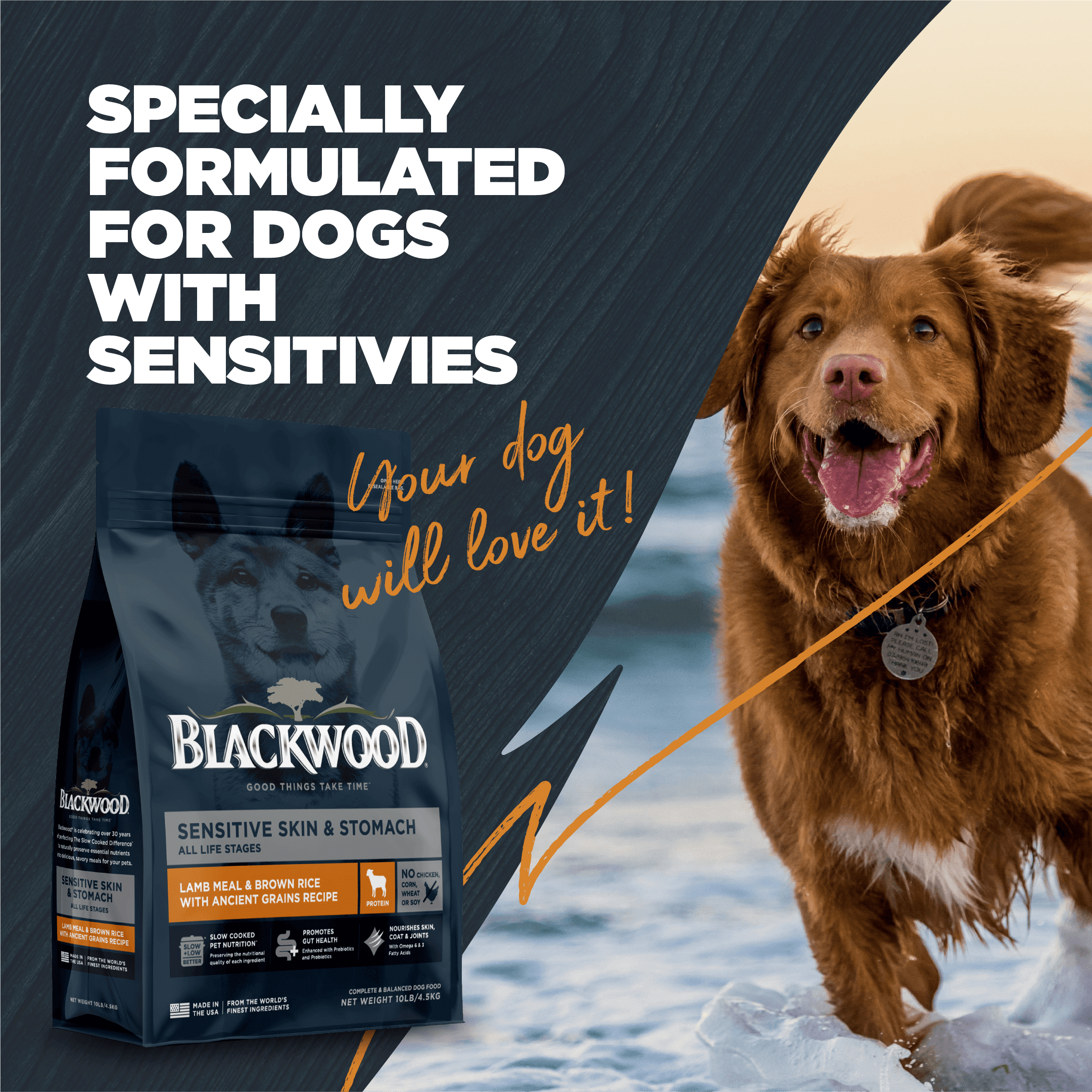 Blackwood Dry Dog Food for Sensitive Skin & Stomach, Lamb Meal with Ancient Grains, 24 lb.