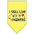 thumbnail image 1 of Mirage Pet 66-452 SMYW Still Live with My Parents Screen Print Pet Bandana, Yellow - Small, 1 of 1
