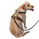 thumbnail image 2 of Fotbe Cute Panda Sunflower Arnés para Perro con Estampado –Chaleco Ajustable Acolchado con Asa de Control para Perros Grandes-X-Large, 2 of 6