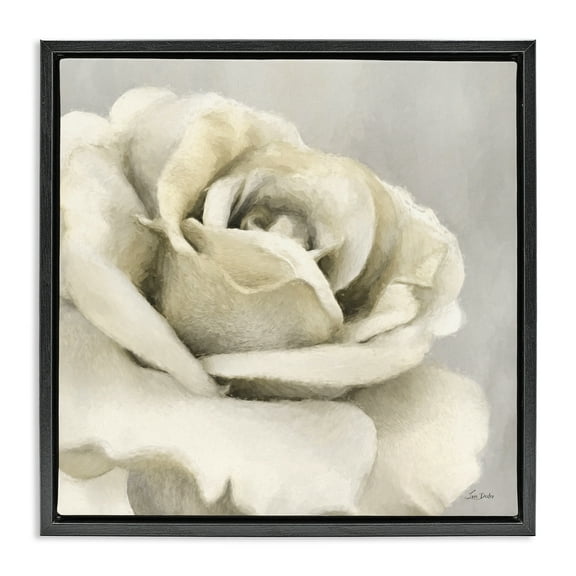 Stupell Industries Curling Rose Petals Botanical & Floral Painting Black Floater Framed Art Print Wall Art, 18 x 18