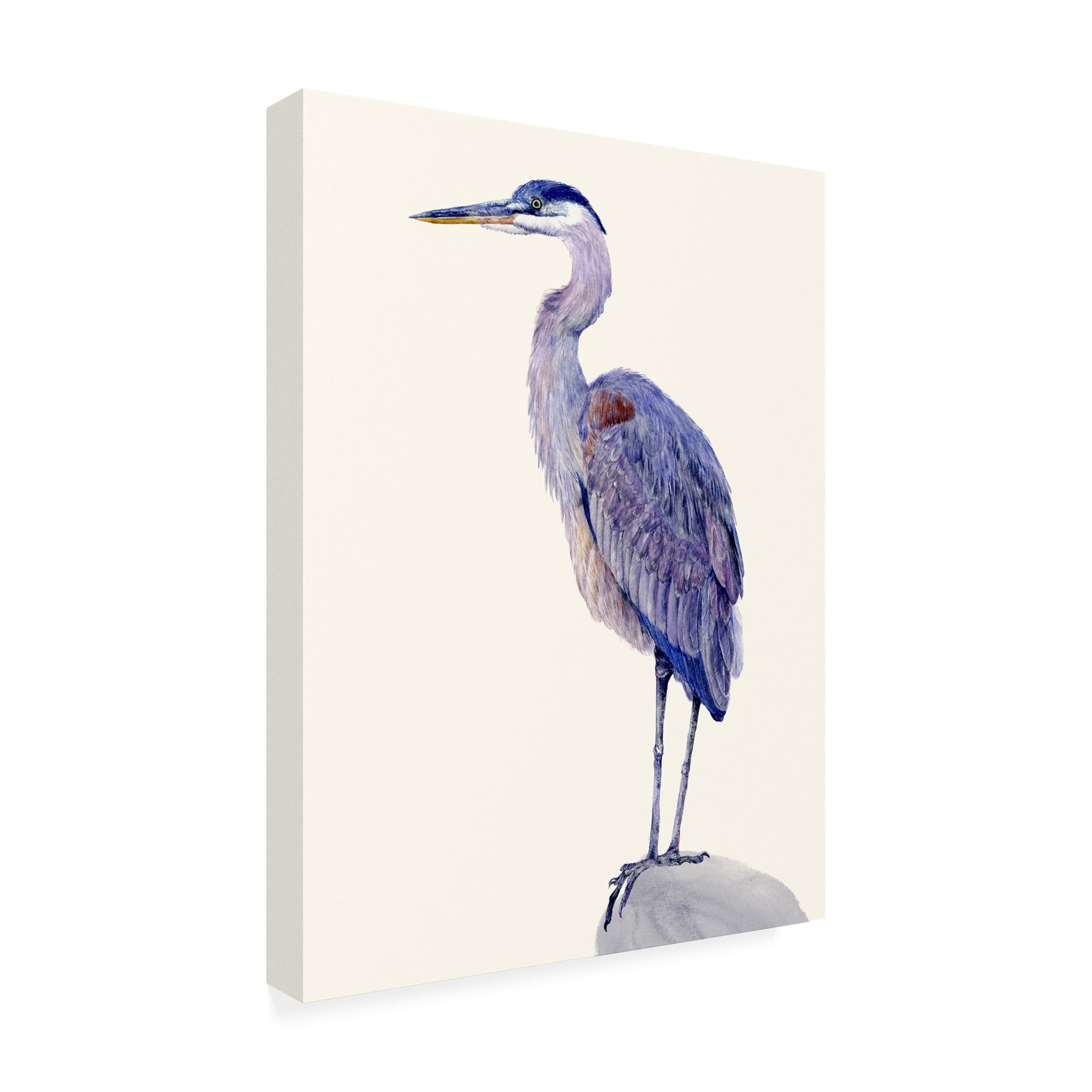 Trademark Fine Art 'Heron Study I' Canvas Art by Melissa Wang