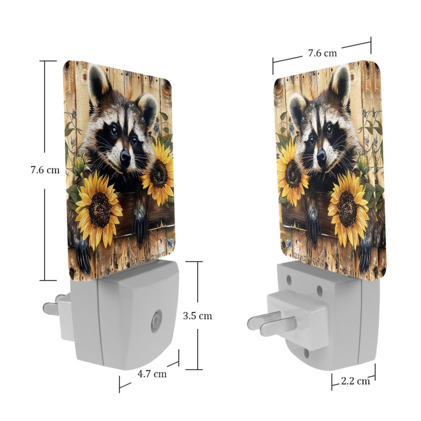 PhooArto Sunflower Raccoon in Wooden Board Plug in LED Night Light Auto Sensor Dusk to Dawn Decorative Night for Bedroom, Bathroom, Kitchen, Hallway, Stairs, Baby's Room, Energy Saving