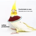 thumbnail image 3 of CBFFDC Bird Restraint Device Adjustable Parrot Recovery Collar Anti Biting Injury Protection Fastener Fixing Bird Collar Pet Bird Accessory, 3 of 6