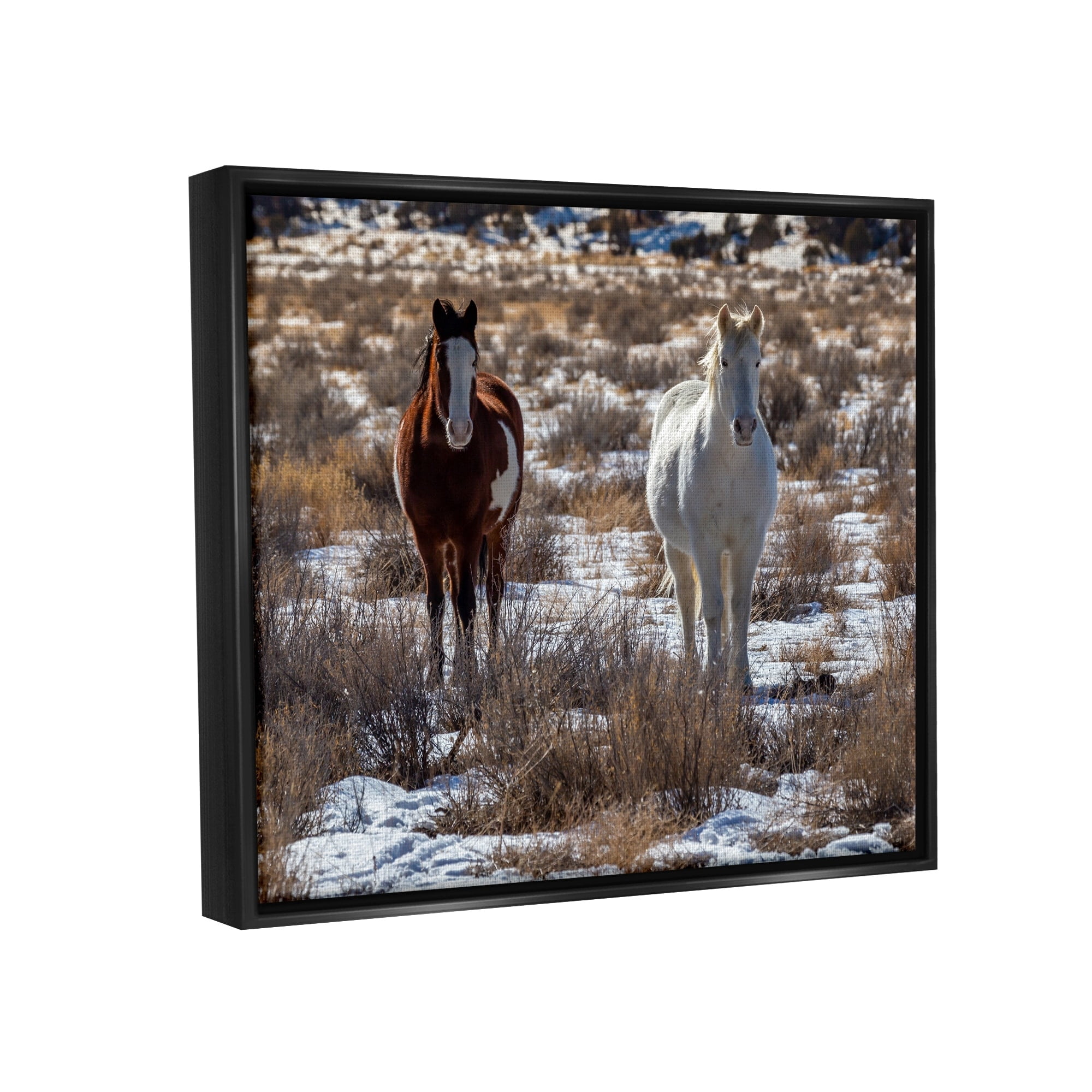 Stupell Industries Pair Horses Walking Through Snow Dusted Grassland Photograph Luster Gray Floating Framed Canvas Print Wall Art, Design by Jeff Poe Photography
